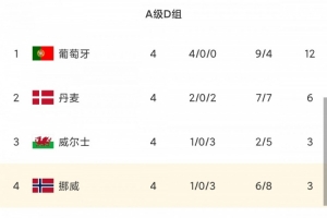 遭葡萄牙双杀！挪威吞三连败+哈兰德伤退，世界杯8强→小组垫底